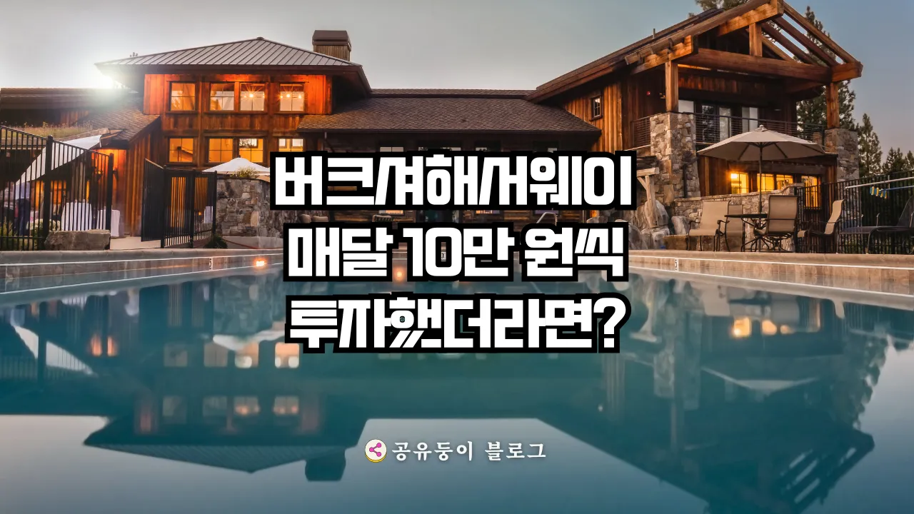 버크셔해서웨이 B주, 매달 10만 원씩 투자했더라면 지금쯤 얼마일까? - 공유둥이블로그